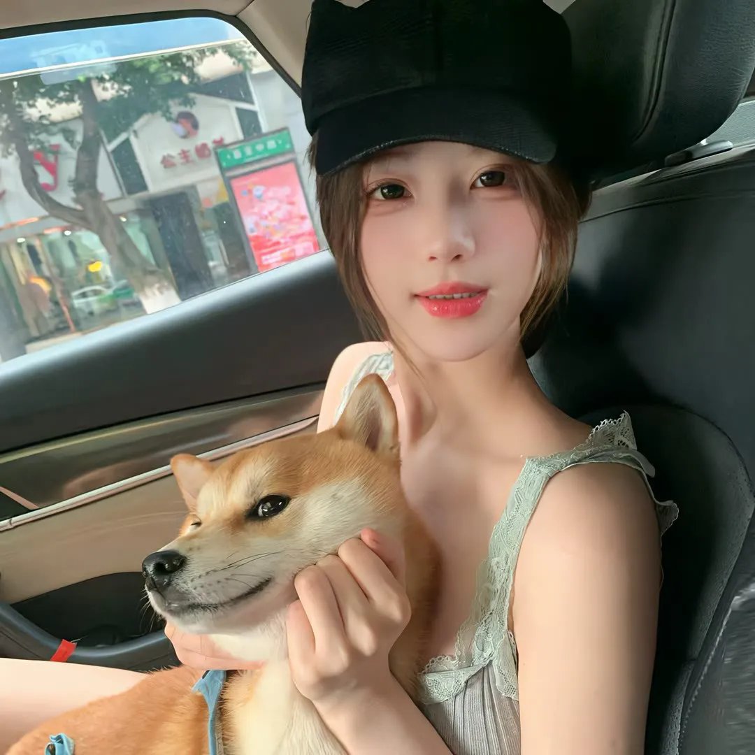新恋爱经